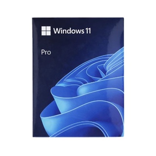 OS (ระบบปฏิบัติการ) MICROSOFT WINDOWS 11 PRO (ENG / 64 BIT / FPP / USB / HAV-00163)