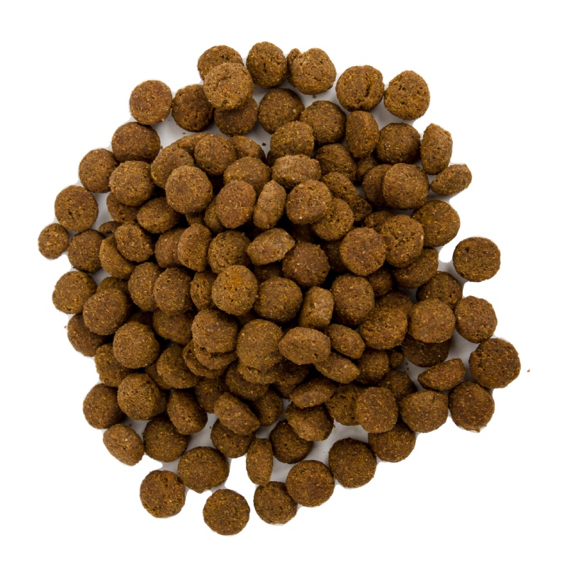 exp14-01-2024-farmina-n-amp-d-อาหารเม็ดสุนัขโต-พันธุ์กลางและใหญ่-ควบคุมน้ำหนักแอนเซสทรัลเกรน-ไก่-สเปลท์-โอ๊ตและทับทิม