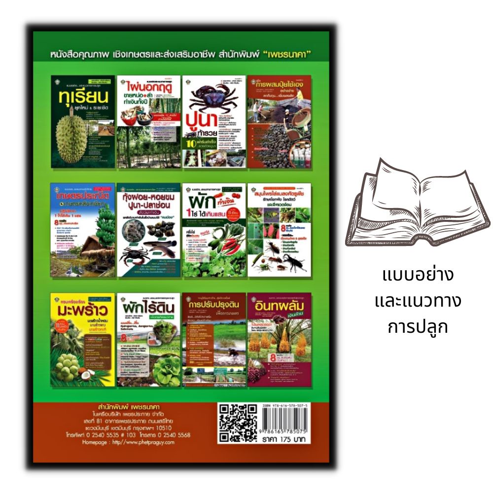 หนังสือ-แบบอย่างและแนวทางการปลูก-ไผ่นอกฤดู-ขายหน่อ-amp-ลำ-ทำเงินทั้งปี-พืชและการเกษตร-การลงทุน