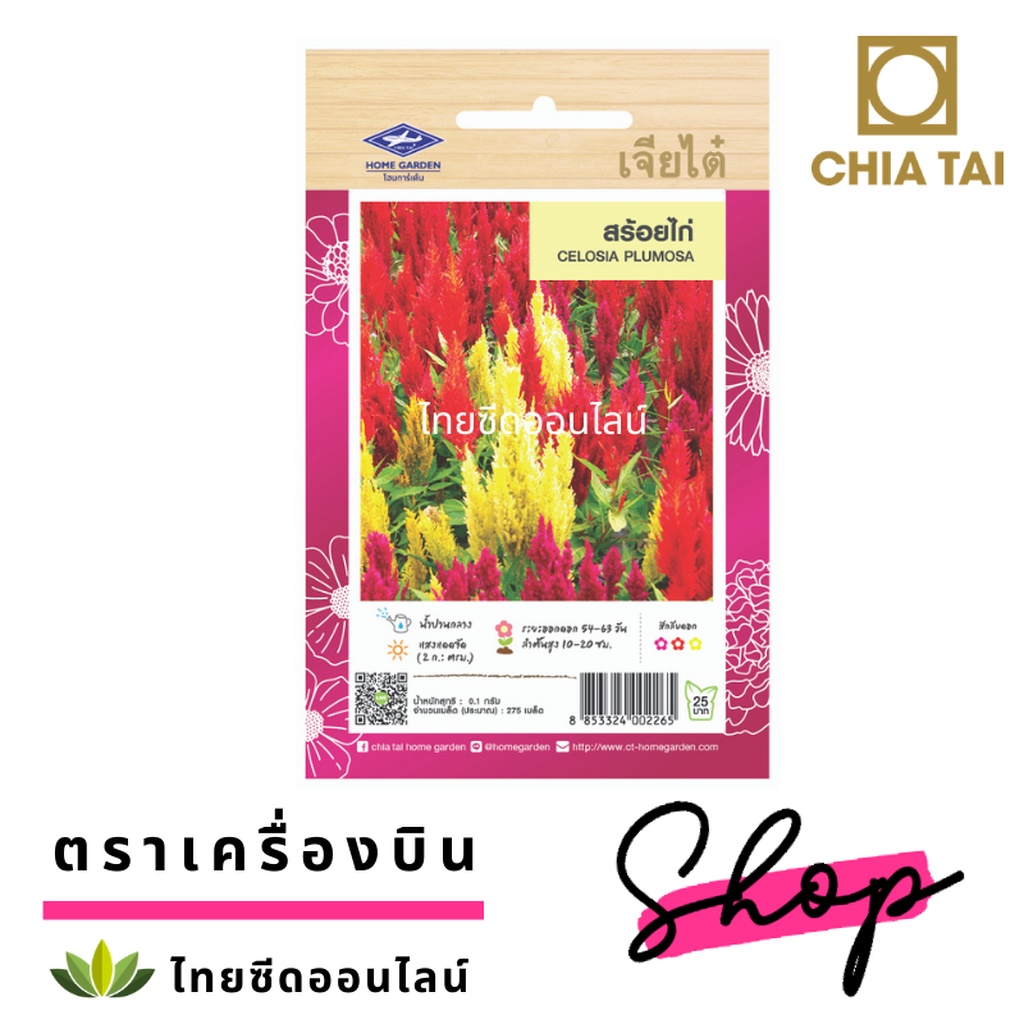 ภาพสินค้าCTFW เมล็ดพันธุ์ดอกไม้ สร้อยไก่คละสี 0.1กรัม ตราเจียไต๋ เมล็ดดอกไม้ Celosia Plumosa จากร้าน thaiseedonline บน Shopee ภาพที่ 1