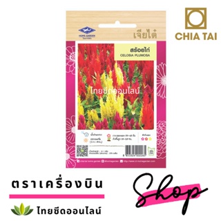 ภาพขนาดย่อของภาพหน้าปกสินค้าCTFW เมล็ดพันธุ์ดอกไม้ สร้อยไก่คละสี 0.1กรัม ตราเจียไต๋ เมล็ดดอกไม้ Celosia Plumosa จากร้าน thaiseedonline บน Shopee ภาพที่ 1