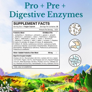 ภาพขนาดย่อของภาพหน้าปกสินค้าVITALITOWN PROBIOTICS 120 BILLION CFUs 36 SPECIALLY SELECTED STRAINS 30 VEGGIE CAPSULES จากร้าน onetyone บน Shopee ภาพที่ 1