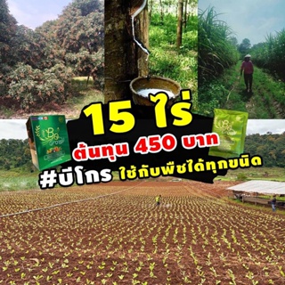 ปุ๋ย ชีวภาพ Be Grow บีโกร ปุ๋ยบีโกร 1 ซอง ของแท้ 100% ปุ๋ย สารเพิ่มประสิทธิภาพพืช อาหารเสริมพืช (1 ซอง ผสมน้ำ 800 ลิตร)