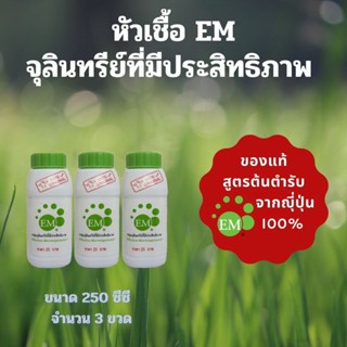 EMRO KANGYONG  EM  หัวเชื้อจุลินทรีย์ที่มีประสิทธิภาพ (Effective Microorganisms) ขนาด 250 ซีซี ( 3 ขวด)