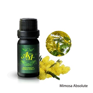 Aroma&amp;More Mimosa Absolute 100% Pure Essential oil India / น้ำมันหอมระเหยมิโมซ่า แอปโซลูท 100% อินเดีย 5/10/30ML