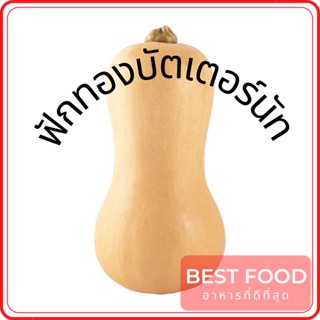 ฟักทองบัตเตอร์นัท Butternut Pumpkin ฟักทองน้ำเต้า บัตเตอร์นัตสควอช