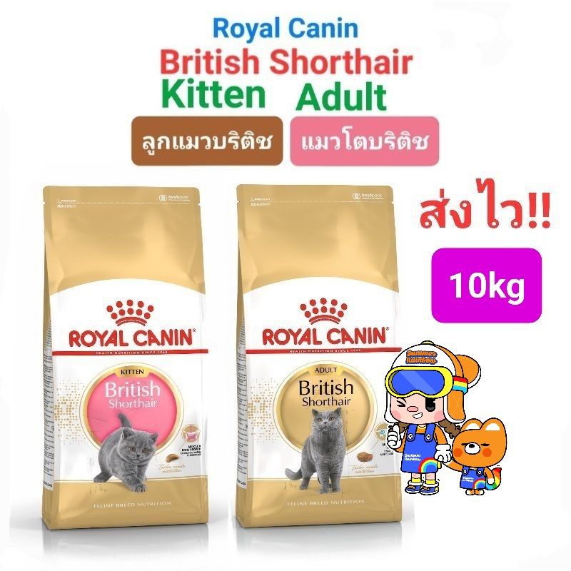 Royal Canin British Shorthair Kitten 2 kg
