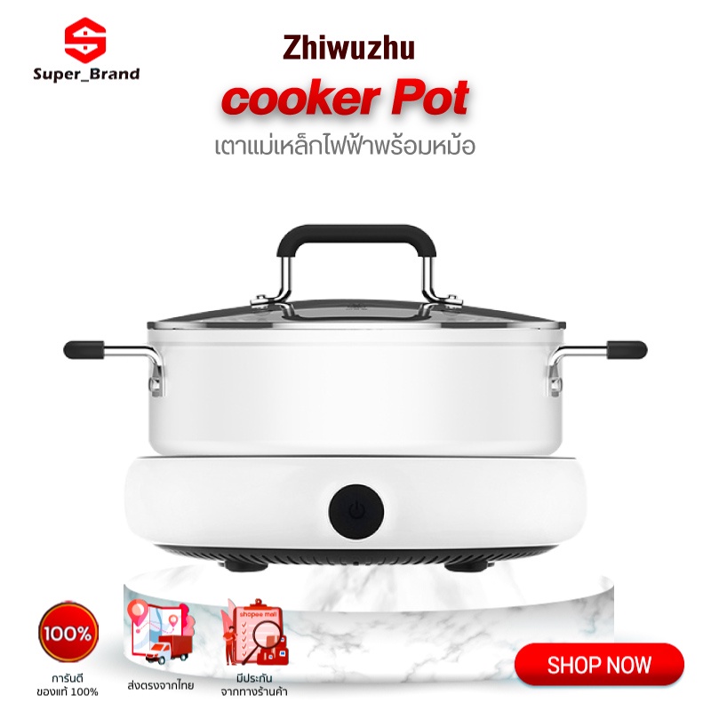 Zhiwuzhu Electric Induction Cooker