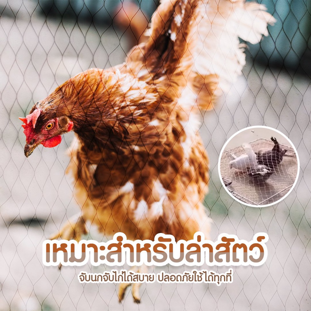 กับดักตาข่ายจับสัตว์-จับนก-ที่ดักจับสัตว์-จับสัตว์ปีก-กับดักตาข่าย-1246