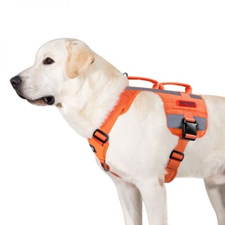 ชุด Harness แห้งไว 1TG-SAR Dog Harness (DG-GBX25A)