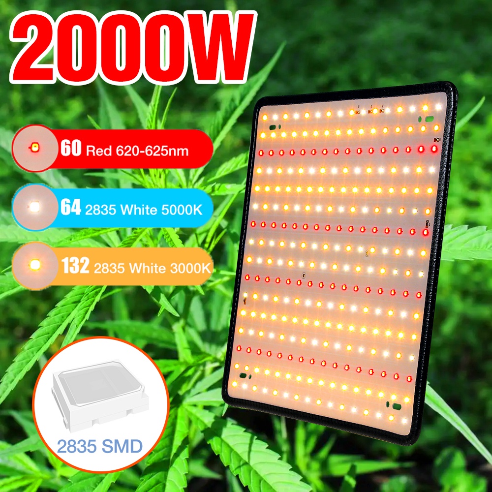 220V Full Spectrum Led Grow Light 1000W Quantum Board GrowLight ...