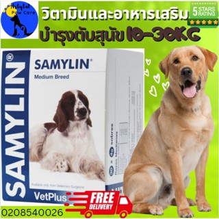 Samylin,Hepatic​​ Protector for Medium Dogs in Envelopes, บำรุงตับสำหรับสุนัขขนาดกลาง