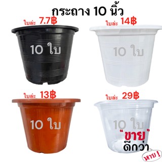 กระถางต้นไม้ 10 นิ้ว 10 ใบ สีดำ สีขาว สีอิฐ สีใส