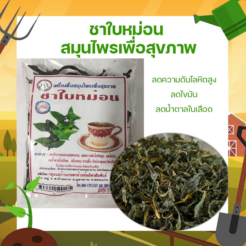 ชาใบหม่อน-อบแห้ง-ออแกนิค-ไม่มีสารเจือปน