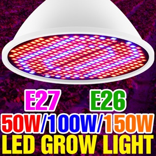 หลอดไฟปลูกต้นไม้ Led E27 สเปกตรัมเต็มรูปแบบ ไฮโดรโปนิกส์ 126 200 300 ดวง 85-265V สําหรับเรือนกระจก