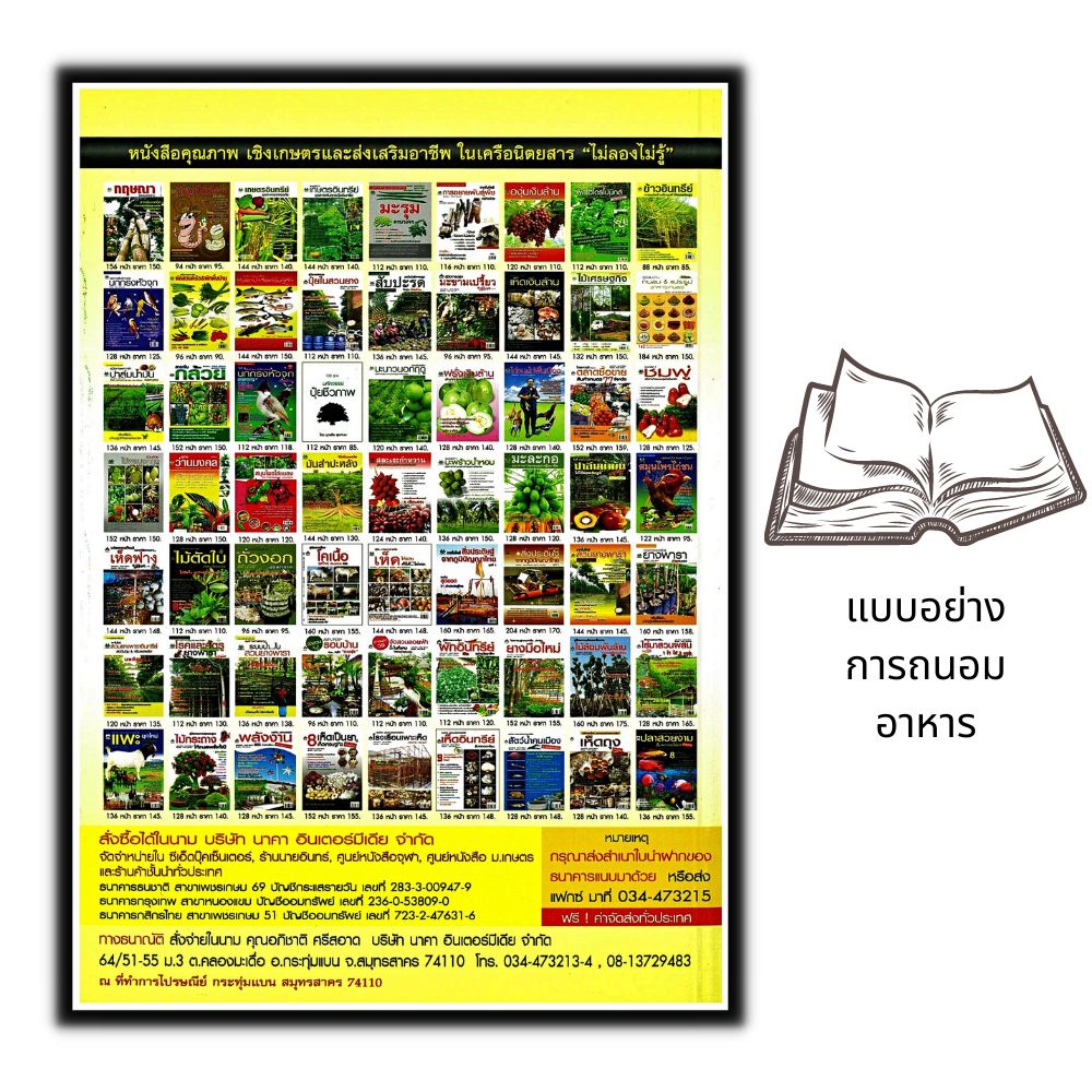 หนังสือ-แบบอย่าง-การถนอมอาหารเห็ดแปรรูป-amp-ผลิตภัณฑ์ต่อยอด-เงินล้าน-เห็ด-การเพาะเห็ด-การแปรรูปผลิตผลทางการเกษตร