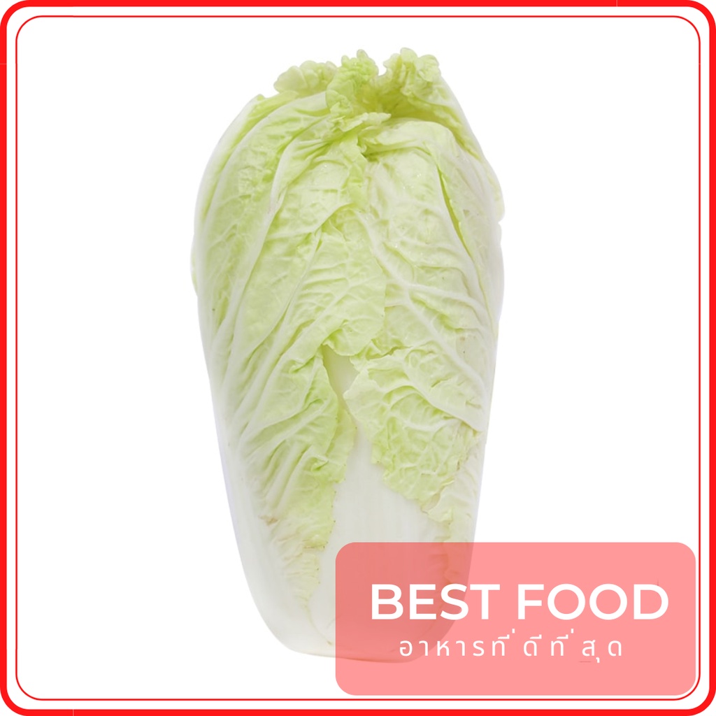 ผักกาดขาว-white-cabbage-ผักกาดจีน