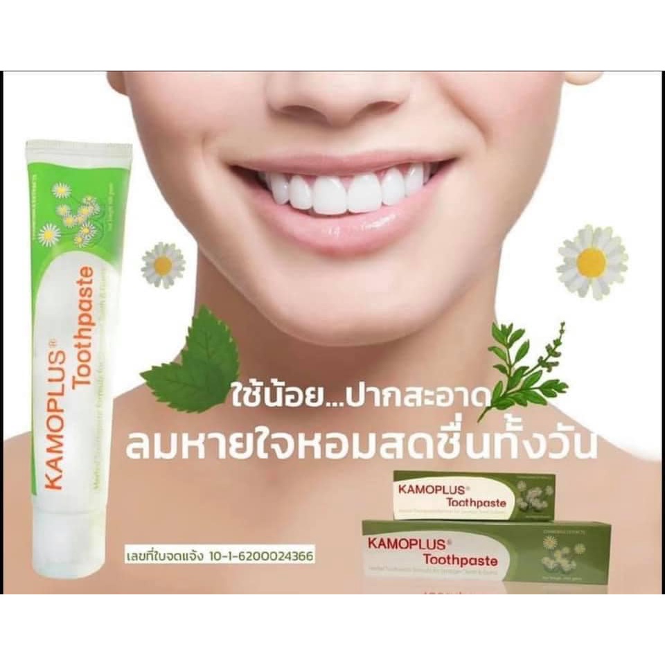 kamoplus-toothpaste-20g-ยาสีฟัน-คาโมพลัส-ยาสีฟันสมุนไพร-แก้ปัญหากลิ่นปาก-แผลร้อนใน-แผลในปาก