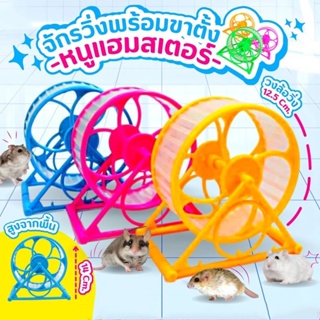 พร้อมส่ง✅😻จักรวิ่งหนูแฮมสเตอร์ Hamster Exercise Wheel ของเล่นแฮมสเตอร์ เสียงเงียบมาก แฮมสเตอร์วิ่ง วงล้อวิ่งแฮมเตอร์ สําหรับออกกําลังกายวิ่ง