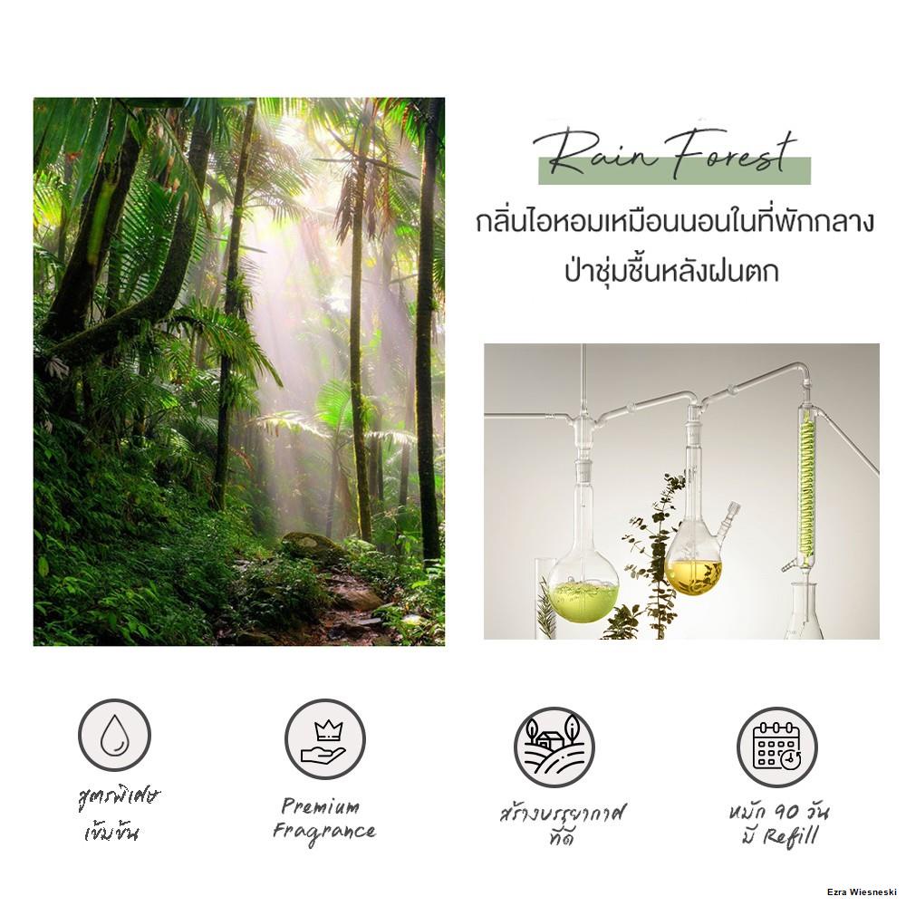 จัดส่งทันที-กลิ่น-rain-forest-หินหอมภูเขาไฟ-หัวเชื้อน้ำหอม-refill-น้ำหอมในรถ-อโรม่า-น้ำหอม-ปรับอากาศ-เทียนหอม-ถุ