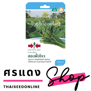 ภาพขนาดย่อของภาพหน้าปกสินค้าGGEW เมล็ดพันธุ์ซฟ กวางตุ้งดอกสองฝั่งโขง กระจ้อน ตราศรแดง Pak Choy จากร้าน thaiseedonline บน Shopee ภาพที่ 1