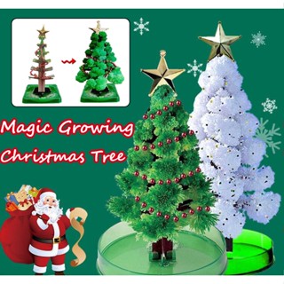 🎄COD🎄3ชิ้น/เซ็ต ต้นคริสต์มาส ต้นไม้วิทยาศาสตร์ Magic Growing Christmas Tree ตกแต่งคริสต์มาส