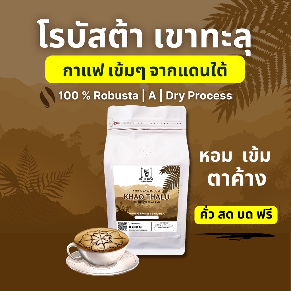 กาแฟคั่ว-โรบัสต้า-เขาทะลุ-ชุมพร-100-คั่วสด-บดฟรี