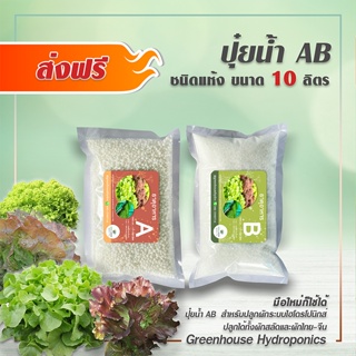 ภาพหน้าปกสินค้าปุ๋ยน้ำ AB ขนาด 10 ลิตร (ส่งฟรี) สำหรับปลูกผักไฮโดรโปนิกส์ ซึ่งคุณอาจชอบสินค้านี้