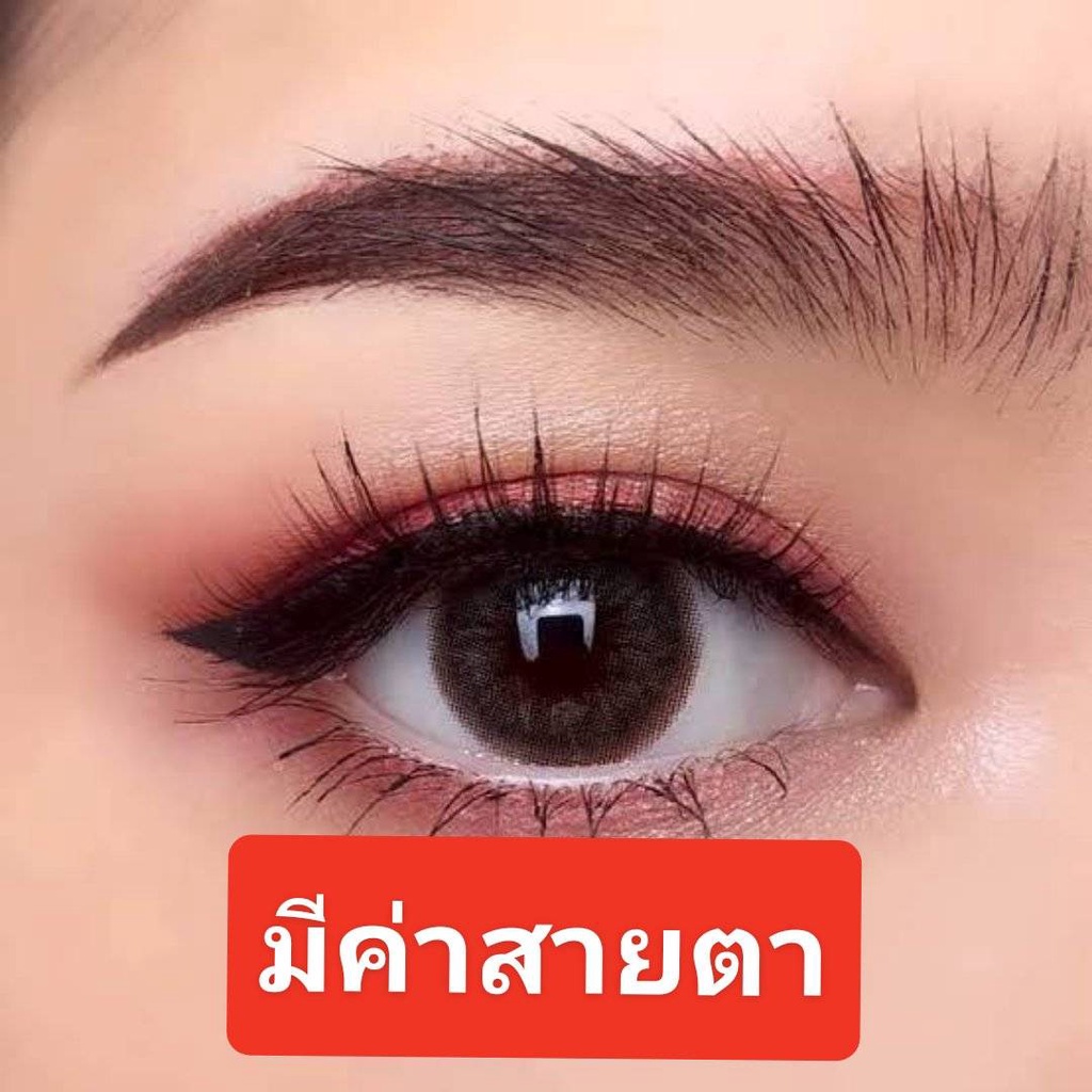 คอนแทคเลนส์-สายตา-แฟชั่น-wink-bella-3-tone-brown