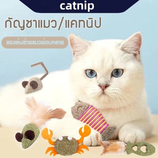 catnip แคทนิป และ ของเล่นแมว ของเล่นหนูปลอม ของเล่นสัตว์เลี้ยง แคทนิปอมยิ้มเสียบไม้มาทาบิสมุนไพรแมวฟินแคทนิปแมวกัญชาแมว