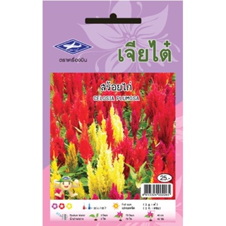 ภาพขนาดย่อของภาพหน้าปกสินค้าCTFW เมล็ดพันธุ์ดอกไม้ สร้อยไก่คละสี 0.1กรัม ตราเจียไต๋ เมล็ดดอกไม้ Celosia Plumosa จากร้าน thaiseedonline บน Shopee ภาพที่ 4