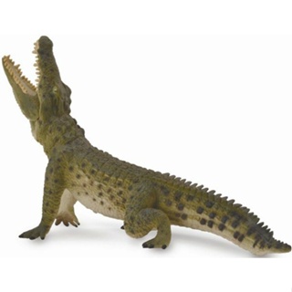 Breyer CollectA Nile Crocodile Leaping 88725 ทํามาอย่างดี xx