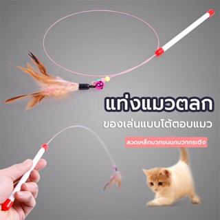 ไม้ตกแมว ไม้แหย่แมว ของเล่นแมว cat toy ไม้ล่อแมว ไม้ตกแมว แบบลวดสลิง