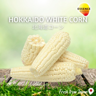 ข้าวโพดหวานญี่ปุ่น Pure White Hokkaido Corn by ESSENCE