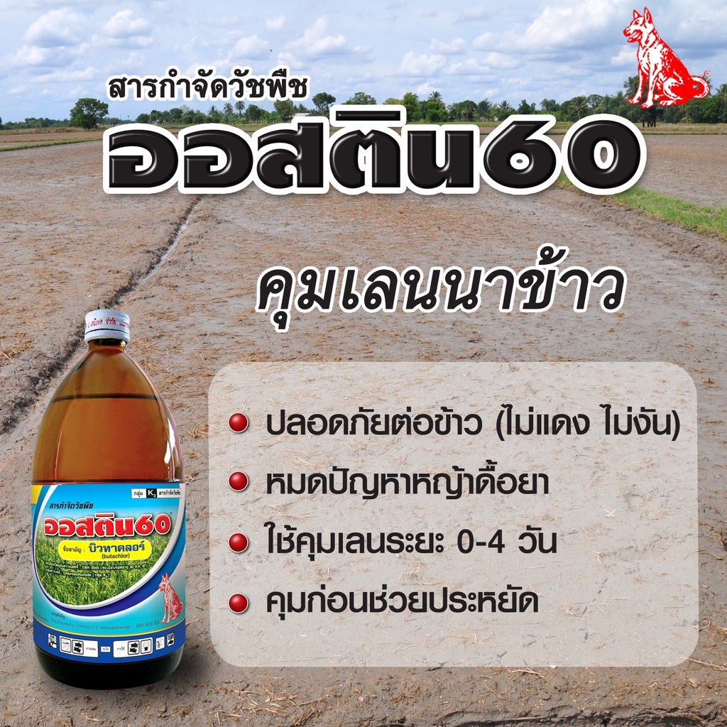 ออสติน60-ขนาด-1-ลิตร-สารกำจัดวัชพืช