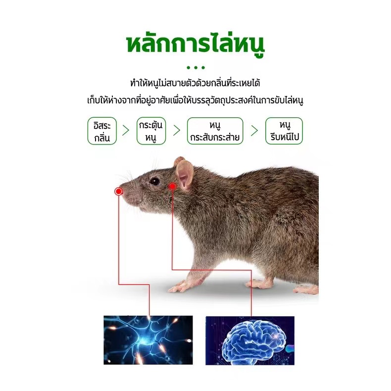 ยาเบื่อหนูเม็ด-กำจัดหนู-8ชิ้น-กล่อง-ปลอดภัยไร้สารพิษ-ใส่วางเบาๆ-หนูก็หายไป-ที่คุณต้องการวางไว้-ไม่มีผลข้างเคียง