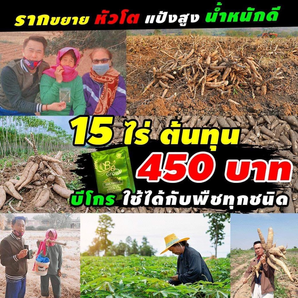 ของแท้-ปุ๋ยชีวภาพ-be-grow-บีโกร-ปุ๋ยบีโกร-1-กล่องมี-10-ซอง-สารเพิ่มประสิทธิภาพพืช-อาหารเสริมพืช-1-ซอง-ผสมน้ำ-800-ลิตร