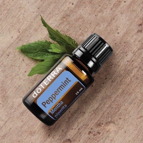 doterra-peppermint-เปปเปอร์มินต์-15ml-สมุนไพรสดชื่น-ปรับอารมณ์-อากาศปลอดโปร่ง-ช่วยให้ตื่นตัว-เพิ่มโฟกัส-จูงใจให้ทำงานสำเ