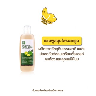 Bananamom แชมพู สมุนไพร มะกรูด x 1 ชิ้น บานาน่ามัม ครูก้อย เส้นผม บำรุง มะกรูด ธรรมชาติ ยา สระผม krukoy c=,r^ ,tdi^f