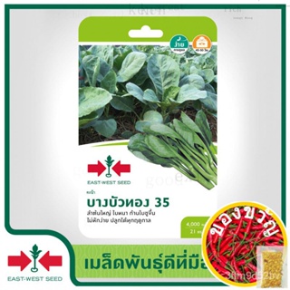 East-West Seed เมล็ดพันธุ์คะน้า (Kale seeds) บางบัวทอง 35 เมล็ดพันธุ์ผัก เมล็ดพันธุ์ ผักสวนครัว ตราศรแดงสร้อยคอ /มักกะโร