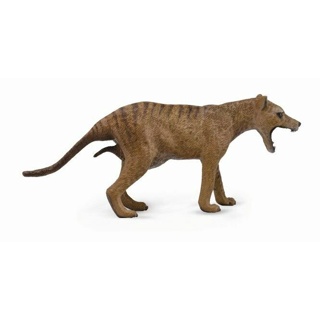 ใหม่ CollectA 88767 กรามเสือ Tasmanian Tiger ขนาด 11.6 ซม. สําหรับผู้หญิง