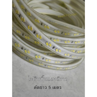 SMD 5730 LED StripLight ไฟริบบิ้น ไฟเส้น ยาว 5 เมตร IP65 กันน้ำ 220VAC แสงสีขาว