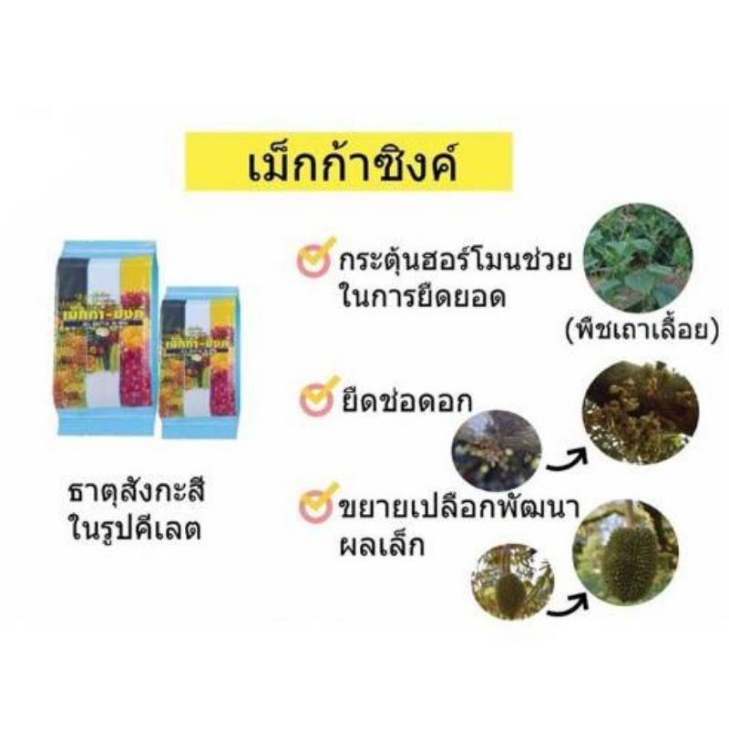 ส่งฟรี-ปุ๋ย-เม็กก้าซิงค์-ปุ๋ยกิฟฟารีน-ธาตุสังกะสี-สร้างฮอร์โมน-ยืดช่อดอก-โตเร็ว-แก้ปัญหาโรคใบได้-ลดต้นทุน-เพิ่มผลผลิต