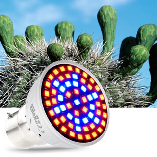 B22 หลอดไฟปลูกพืช Led สเปกตรัมเต็ม 220V E27 E14 MR16 GU10 ไฮโดรโปนิกส์ เพาะเมล็ด และดอกไม้ 80 ดวง สําหรับเรือนกระจกในร่ม