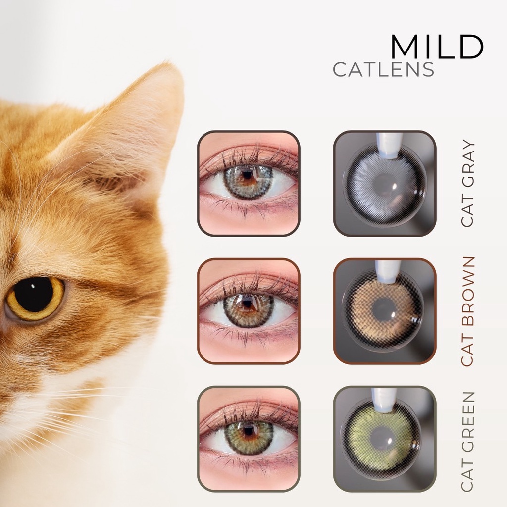 cat-eye-รุ่นmild-softlens-เลนส์รายปี-idollens-olens-ขนาด14-5