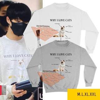 Jeno nct เสื้อกันหนาว สไตล์เกาหลี WHY inlove cats (WHY Version)