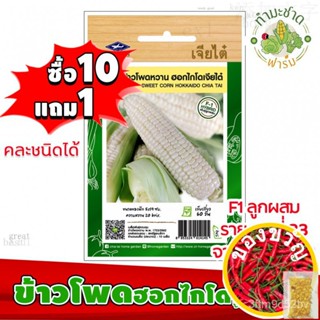 เมล็ดอวบอ้วน100%，ไทยในสต็อกพร้อมส่งเมล็ดพันธุ์ข้าวโพดฮอกไกโด เจียไต๋ ประมาณ 10 เมล็ด ข้าวโพดหวานทานสดเมล็ดพืชคุณภาพสูงCa