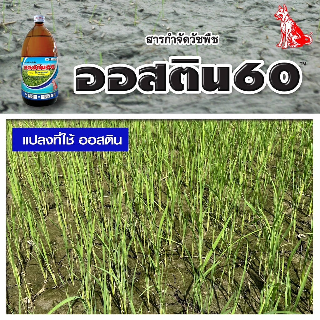 ออสติน60-ขนาด-1-ลิตร-สารกำจัดวัชพืช