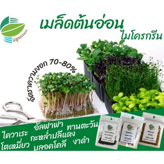 ผู้ผลิตเมล็ดพันธุ์/เมล็ดต้นอ่อน เมล็ดผักไมโครกรีน #microgreen #อัลฟาฟ่า #ทานตะวัน #บลอคโคลี #โต/อินทรีย์ คละ สวนครัว ดอก