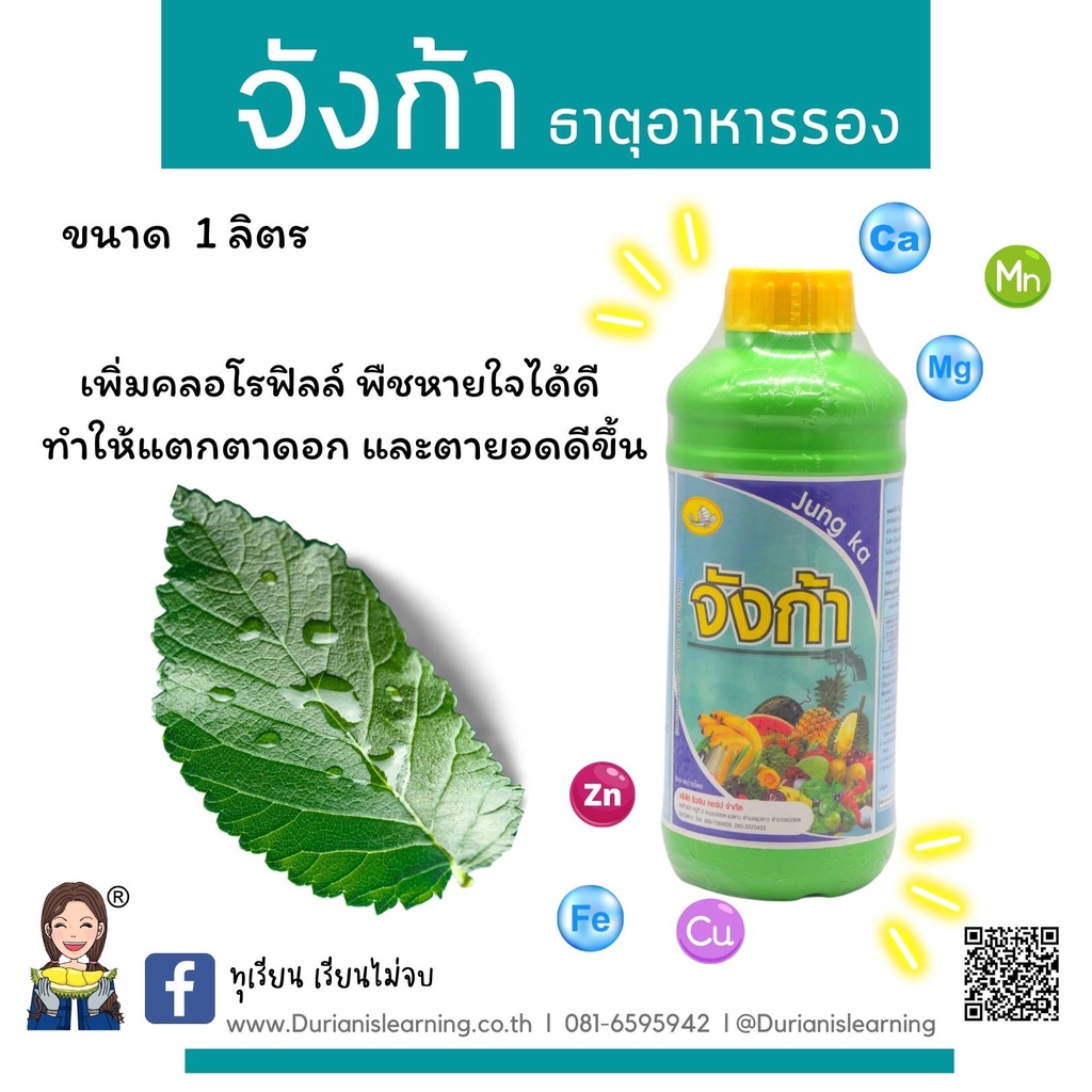 จังก้า-ธาตุอาหารรวม-ผสมเสร็จในขวดเดียว